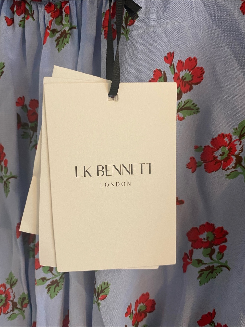 LK Bennett Light Blue Maxi Dress with Red Floral Print - Picture 2 of 4